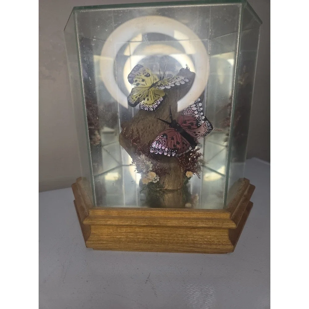 Vintage Glass & Wood Hexagonal Butterfly Taxidermy Diorama Display Yellow Pink